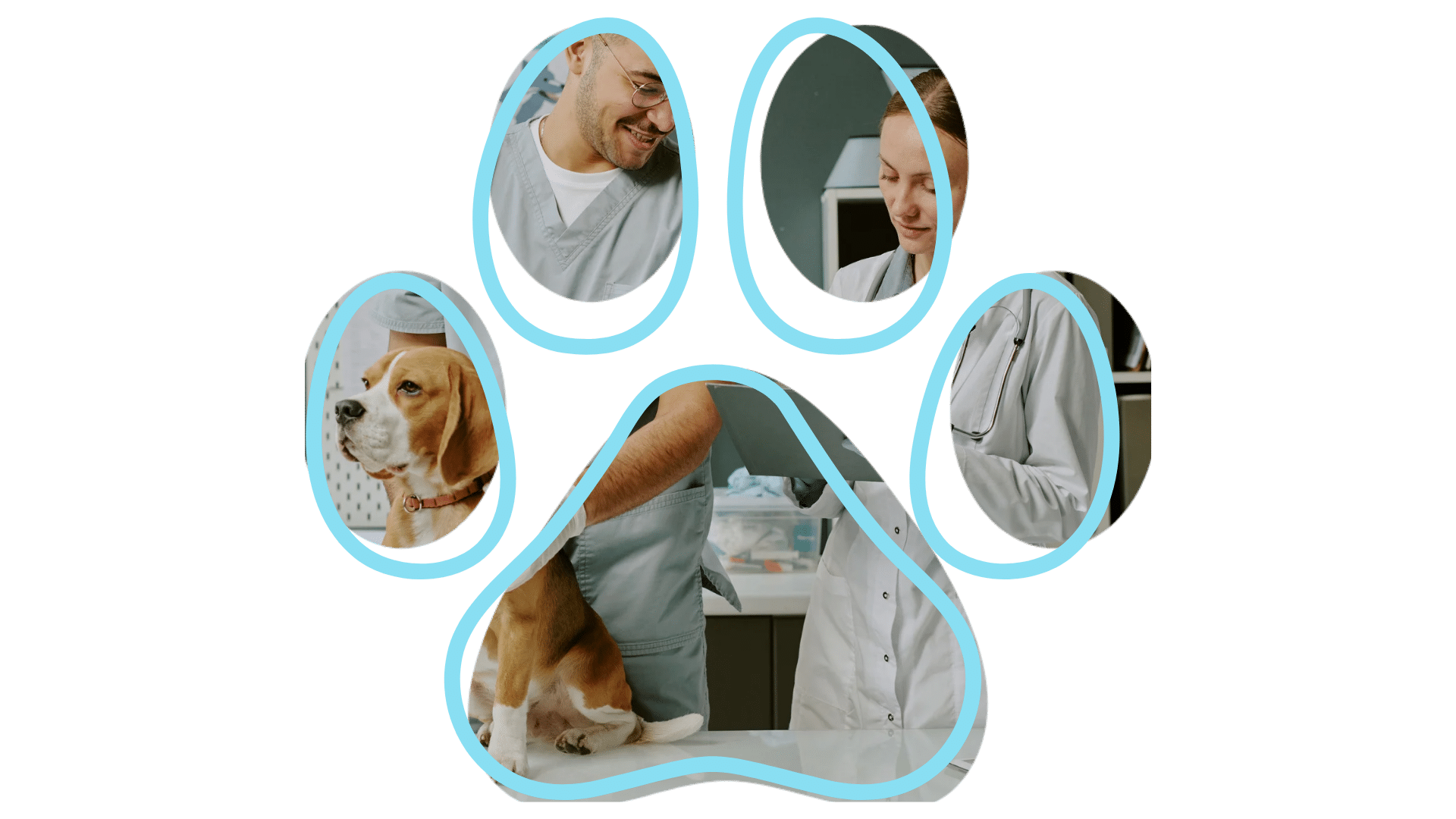 vet near me Fleur Pet Hospital dental care services Des Moines pets