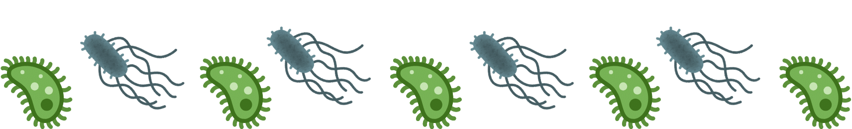 Image of internal parasites representing pet parasites and preventive care at Fleur Pet Hospital in Des Moines, IA