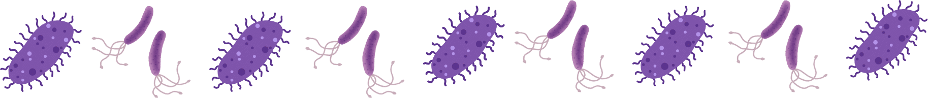 Parasites that can be treated at Fleur Pet Hospital in Des Moines, IA