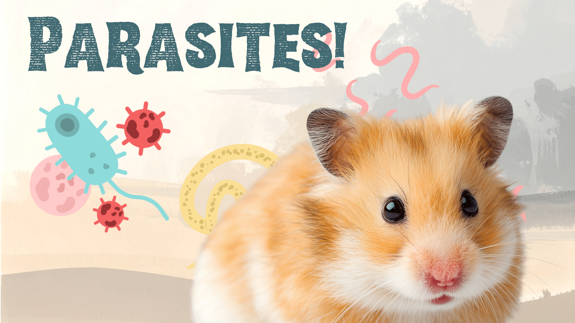 A hamster with parasites in Des Moines that needs veterinary care